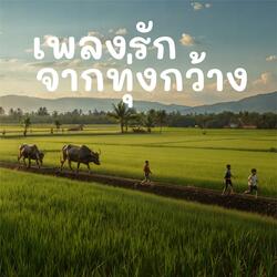 เพลงรักจากทุ่งกว้าง