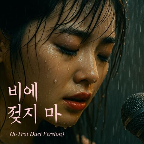 비에 젖지 마 (K-Trot Duet Version)