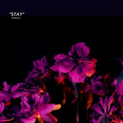 STAY - 2025