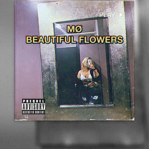 Beautiful Flowers
