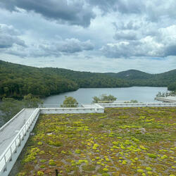 Frank Gallagher Vs Rey Mysterio Freestyle