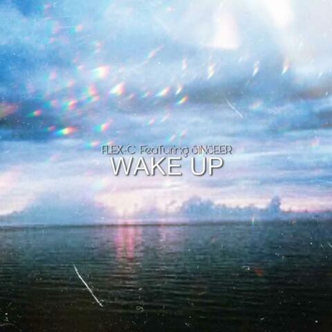 Wake Up (feat. Sinseer) [Radio Edit]