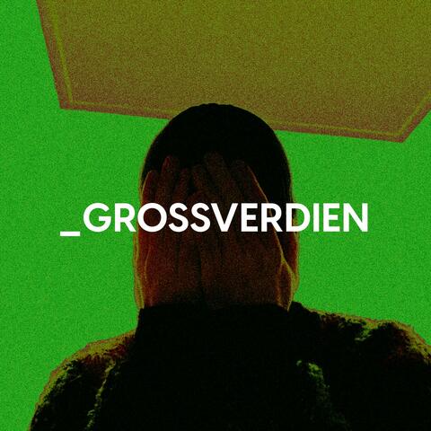 _GROSSVERDIEN