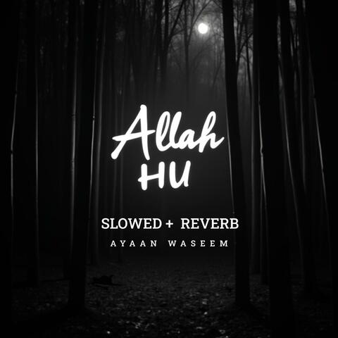 Allah Hu  (Slowed + Reverb)