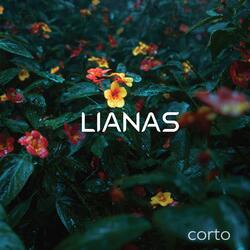 Corto (Spa)