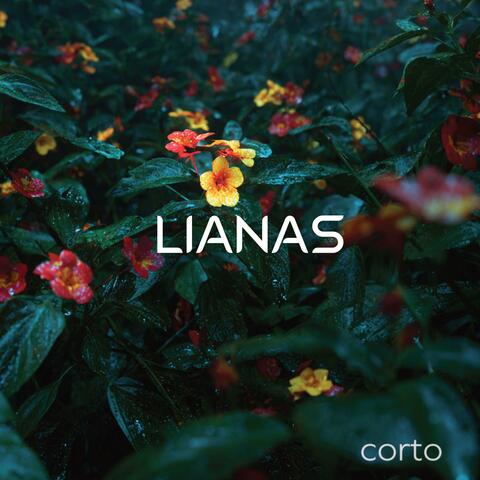 Corto