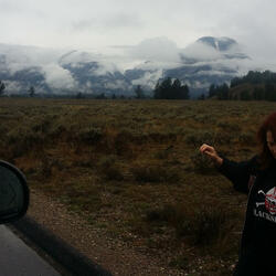 "Rollin’ Down the Highway"