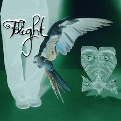 Flight
