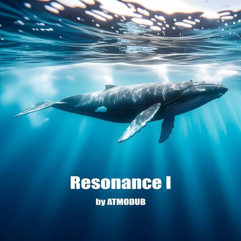 Resonance I