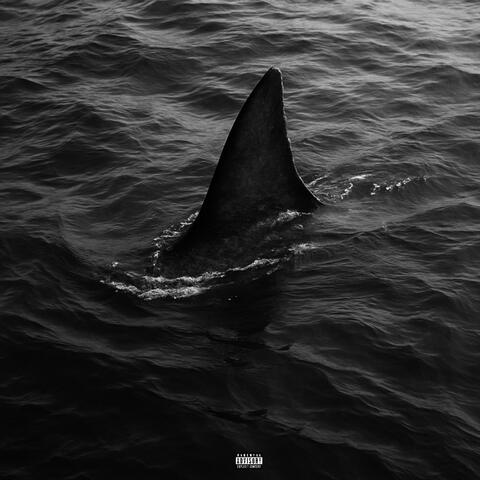 Deep Ocean Freestyle