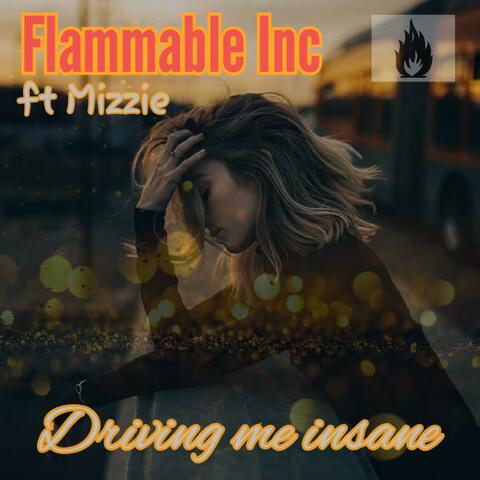 Driving me insane (feat. Mizzie)