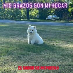 MIS BRAZOS SON MI HOGAR