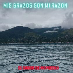 MIS BRAZOS SON MI RAZON