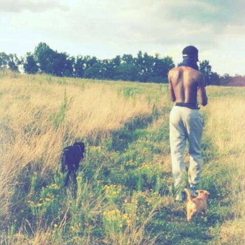 Hidden Kingdom Freestyles