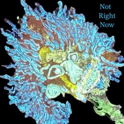 Not Right Now (feat. Kimbra Leigh)