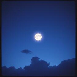The Moonlit Sky