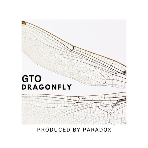 Dragonfly