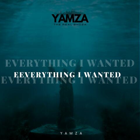 Everything I Wanted