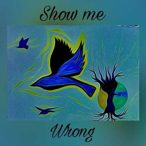 Show Me Wrong