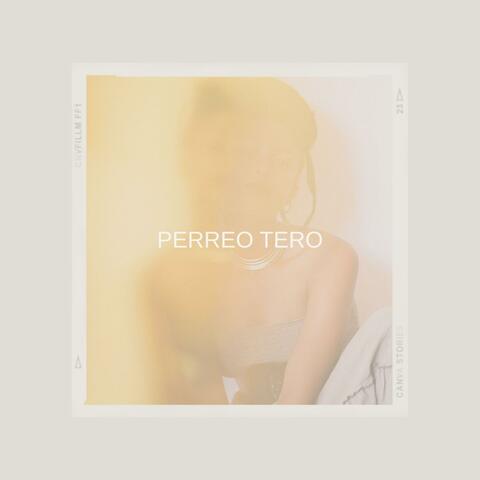 Perreo Tero