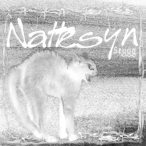 Nattesyn Deluxe