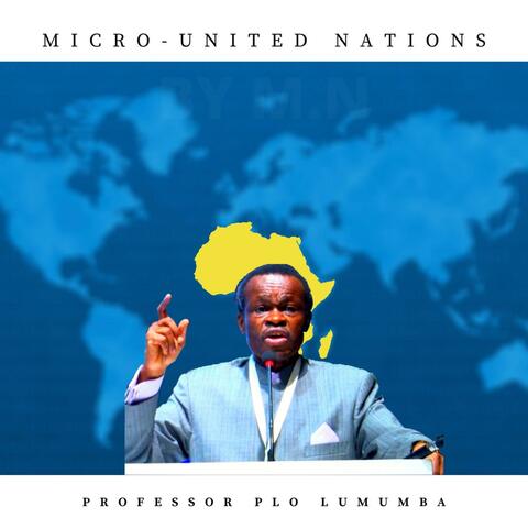Micro United Nations