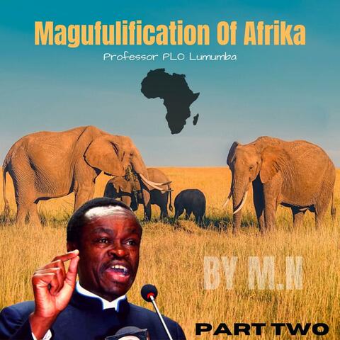 Magufulification of Afrika, Pt. 2