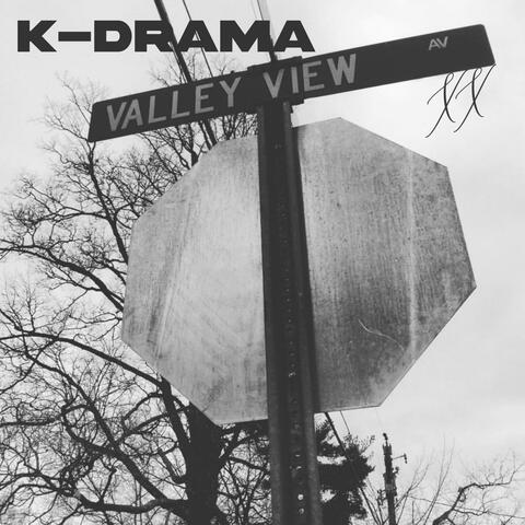 Valley View Ave XX