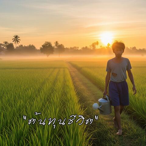 ต้นทุนชีวิต