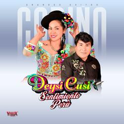 Cariño Cariñito Mio