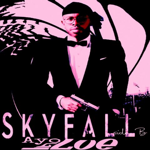 SkyFall side B