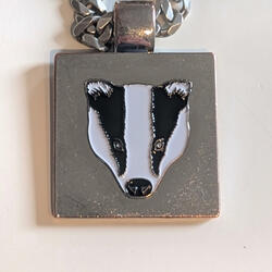 I Got Mad Love For Badgers