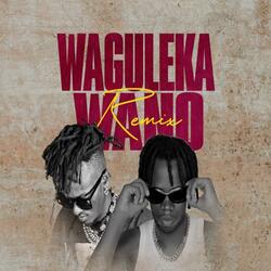 Waguleka Wano (feat. H.E Valley Music)