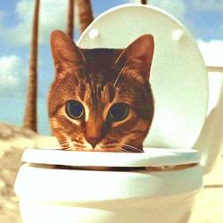 OIIA OIIA SKIBIDI TOILET Spinning CAT
