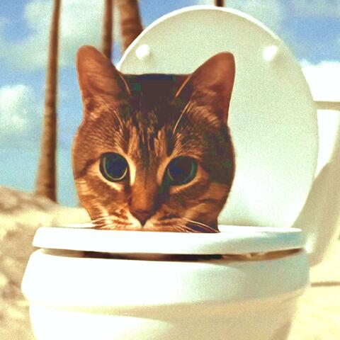 OIIA OIIA SKIBIDI TOILET Spinning CAT