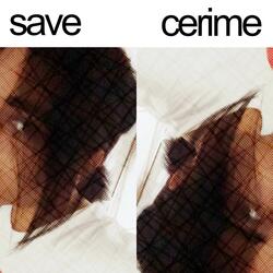 save