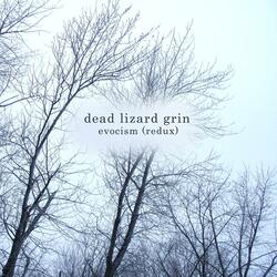 The Psychographer's Brume