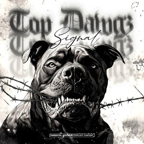 TOP DAWGS