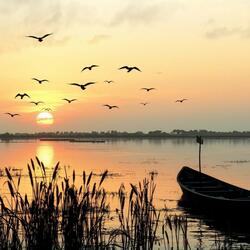 Cântecul Dobrogei (feat. DJ Gropișor)