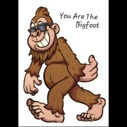You Are The Bigfoot (Radio Edit)