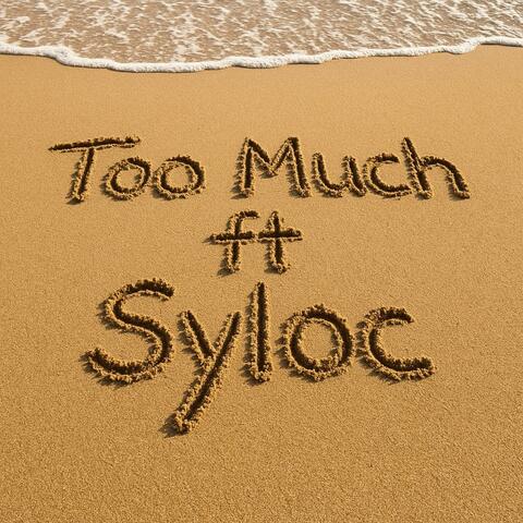 Too Much (feat. Syloc)