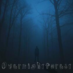 Overnightforest