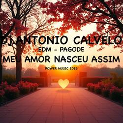 MEU AMOR NASCEU ASSIM