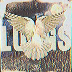 LUNGS
