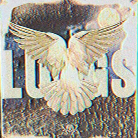 LUNGS