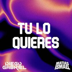 TU LO QUIERES (feat. Diego Gabriel)