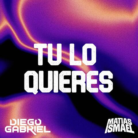 TU LO QUIERES (feat. Diego Gabriel)