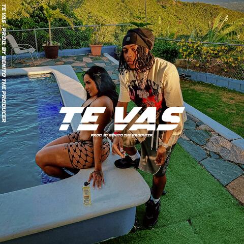 Te Vas (Instrumental Detroit, Type Beats Trap, Detroit Type Beat 2025)