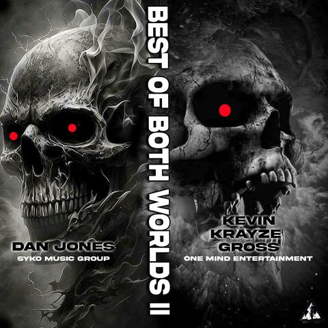 BEST OF BOTH WORLDS 2