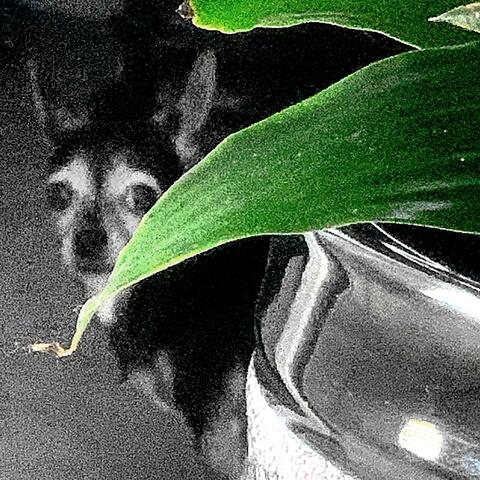 ONE MORE TIME (PART 1)